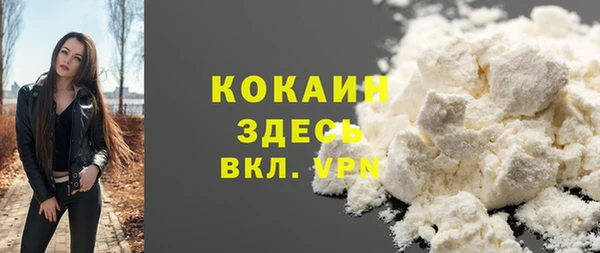 дурь Богородицк