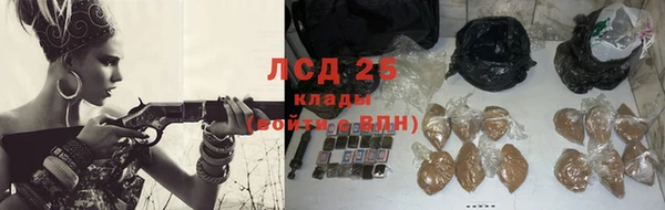 стафф Богданович