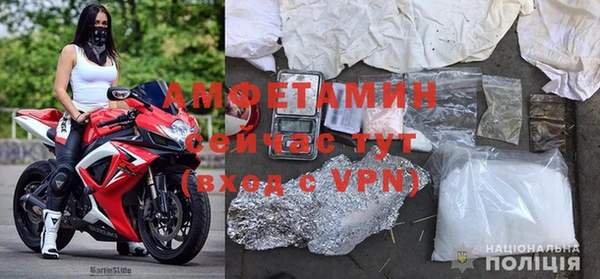стафф Богданович
