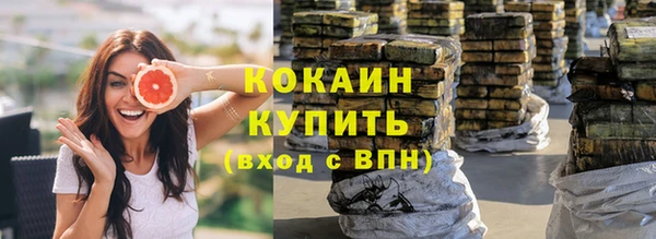 дурь Богородицк